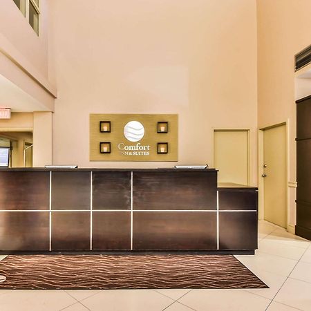 Comfort Inn&Suites Ambassador Bridge Windsor Exterior foto