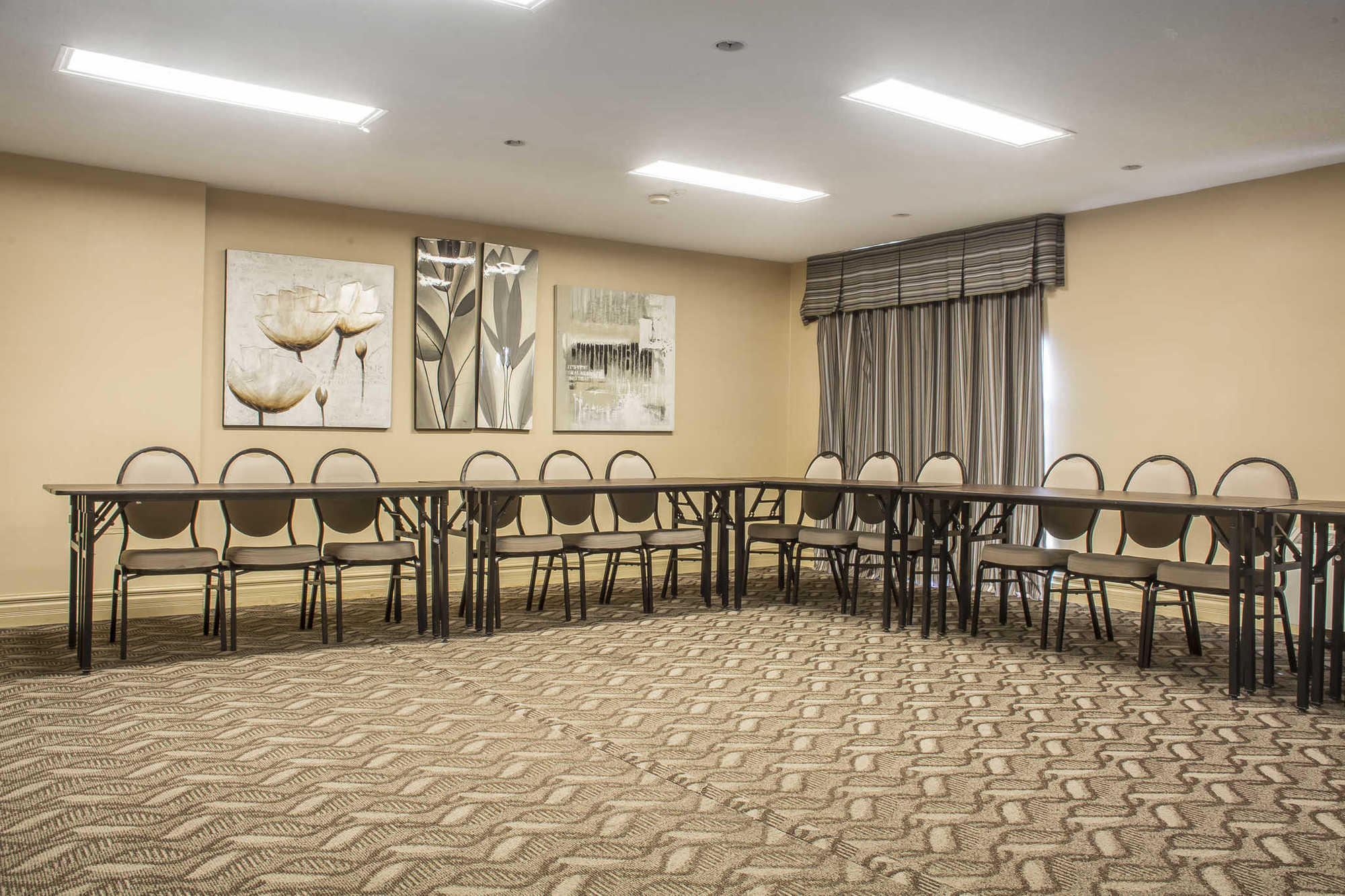 Comfort Inn&Suites Ambassador Bridge Windsor Facilidades foto