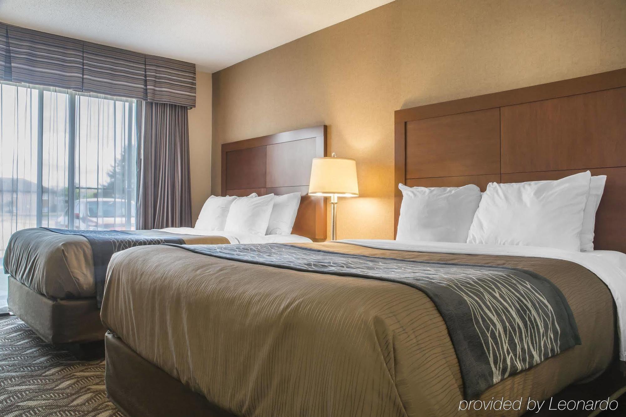 Comfort Inn&Suites Ambassador Bridge Windsor Exterior foto